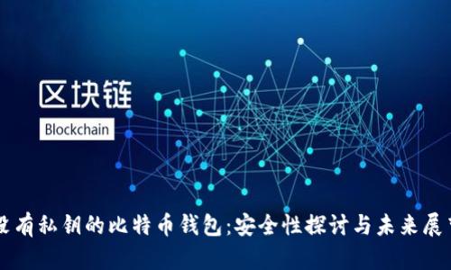 没有私钥的比特币钱包：安全性探讨与未来展望