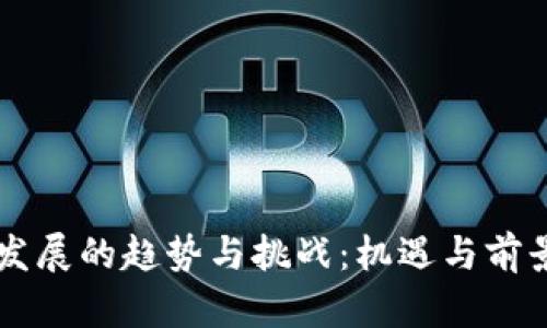 虚拟币未来发展的趋势与挑战：机遇与前景的深度分析