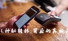 20万枚SOL神秘转移：背后的真相与影响
