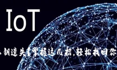 tpWallet私钥遗失？掌握这几招，轻松找回你的数字资产