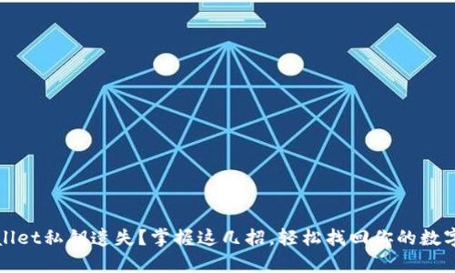 tpWallet私钥遗失？掌握这几招，轻松找回你的数字资产