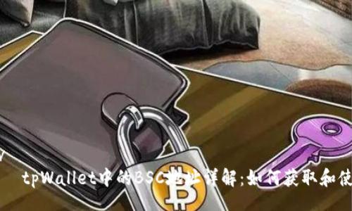 div
    tpWallet中的BSC地址详解：如何获取和使用