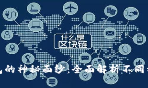 揭开比特币钱包的神秘面纱：全面解析不同种类及其适用性