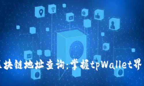 深入探索区块链地址查询：掌握tpWallet界面操作技巧
