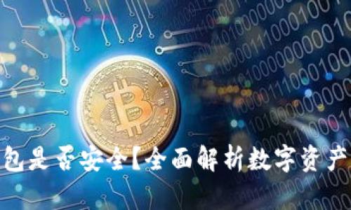 数字货币钱包是否安全？全面解析数字资产的保护之道
