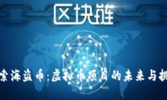 探索海盗币：虚拟币项目的未来与挑战