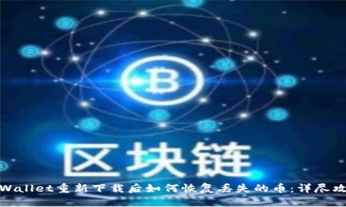 tpWallet重新下载后如何恢复丢失的币：详尽攻略