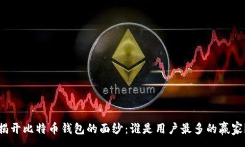 :
揭开比特币钱包的面纱：谁是用户最多的赢家？