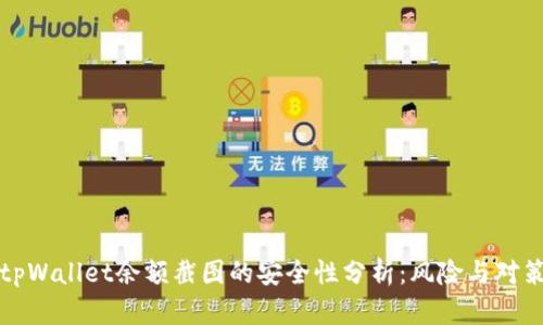 tpWallet余额截图的安全性分析：风险与对策