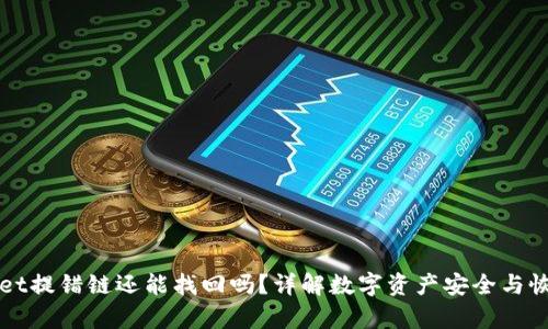 tpWallet提错链还能找回吗？详解数字资产安全与恢复方法