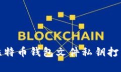  如何解决比特币钱包文件私钥打不开