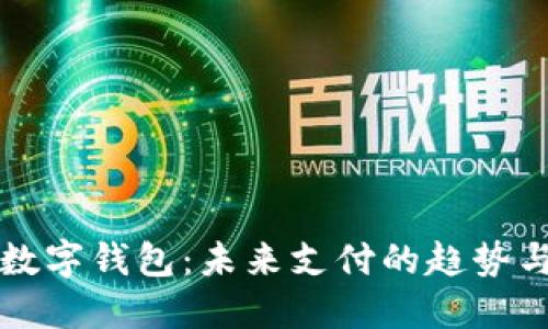 国内数字钱包：未来支付的趋势与挑战