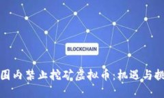 全球范围内禁止挖矿虚拟币：机遇与挑