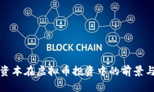 红杉资本在虚拟币投资中的前景与挑战