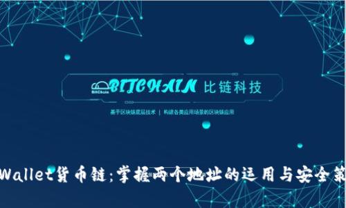 tpWallet货币链：掌握两个地址的运用与安全策略