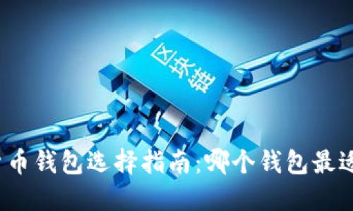 数字货币钱包选择指南：哪个钱包最适合您？