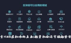 探索MXB虚拟币的未来：投资机会与市场