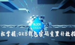 轻松掌握：OKB钱包密码重置补救指南