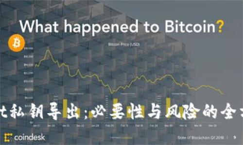 tpWallet私钥导出：必要性与风险的全方位探讨