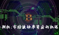 虚拟币期权：市场波动率背后的机遇与