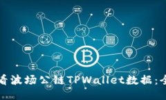 如何查看波场公链TPWallet数据：全面指