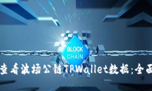 如何查看波场公链TPWallet数据：全面指南