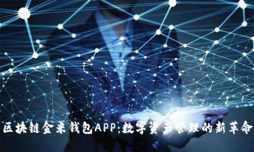 区块链金米钱包APP：数字资产管理的新革命