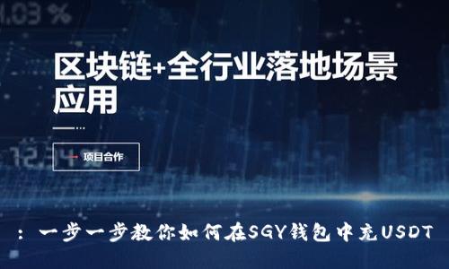 : 一步一步教你如何在SGY钱包中充USDT