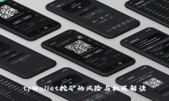 tpWallet挖矿的风险与机遇解读