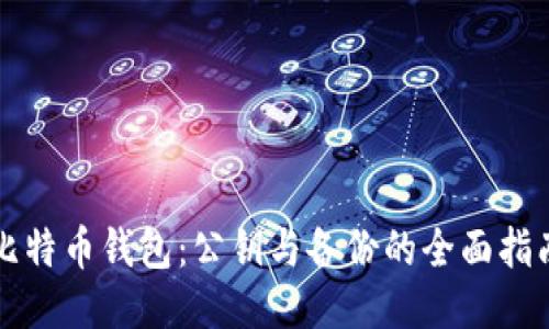 比特币钱包：公钥与备份的全面指南