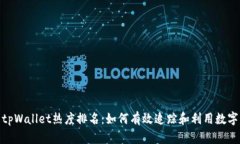 : 深入解析tpWallet热度排名：如何有效