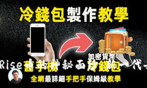 大致内容概述：

### 揭开EverRise币的神秘面纱：新一代去中心化金融明星