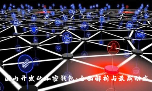国内开发的加密钱包：全面解析与最新动态