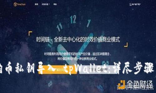 如何将狗狗币私钥导入 tpWallet：详尽步骤与注意事项