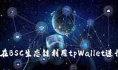 深入探索：如何在BSC生态链利用tpWal