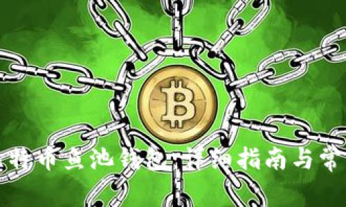 如何设置比特币鱼池钱包：详细指南与常见问题解答