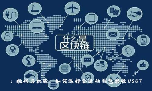 : 挑战与机遇: 如何选择合适的钱包接收USDT