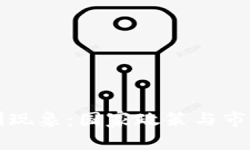 全球虚拟币的抵制现象：国家政策与市场动态的深度分析